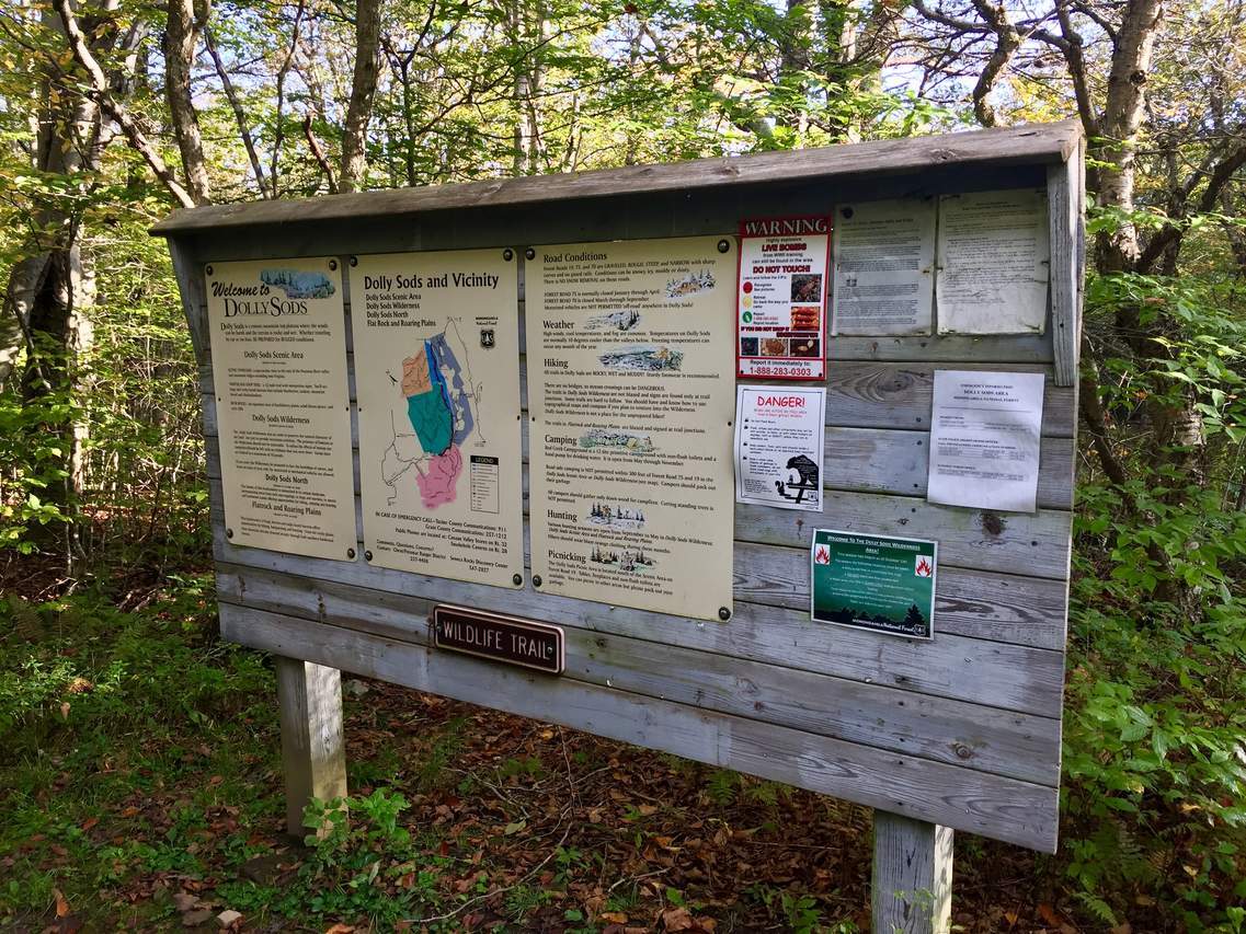 Pictures from Wildlife Trail Dolly Sods | MyHikes